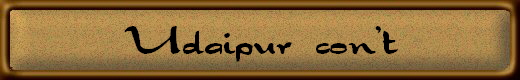 Udaipur  con't
